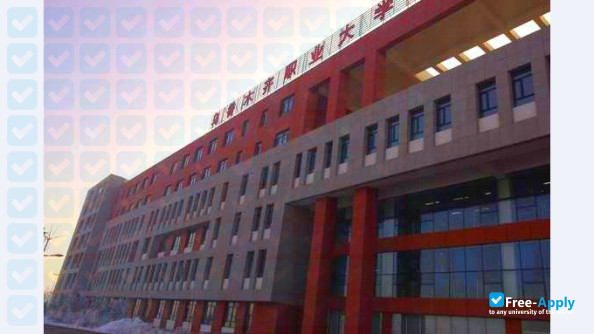 Urumqi Vocational University photo #5