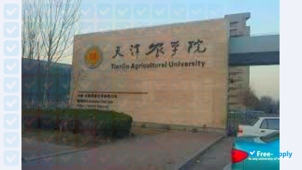 Foto de la Tianjin Agricultural University #3