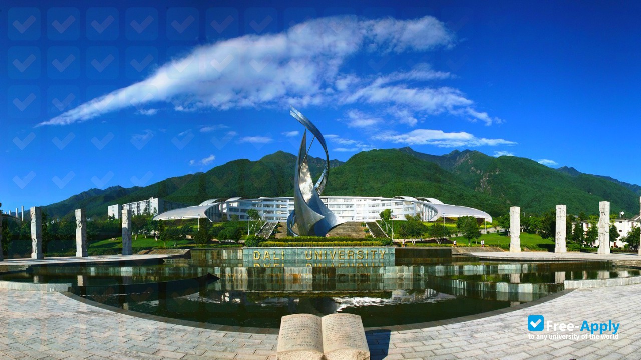 Dali University photo #10