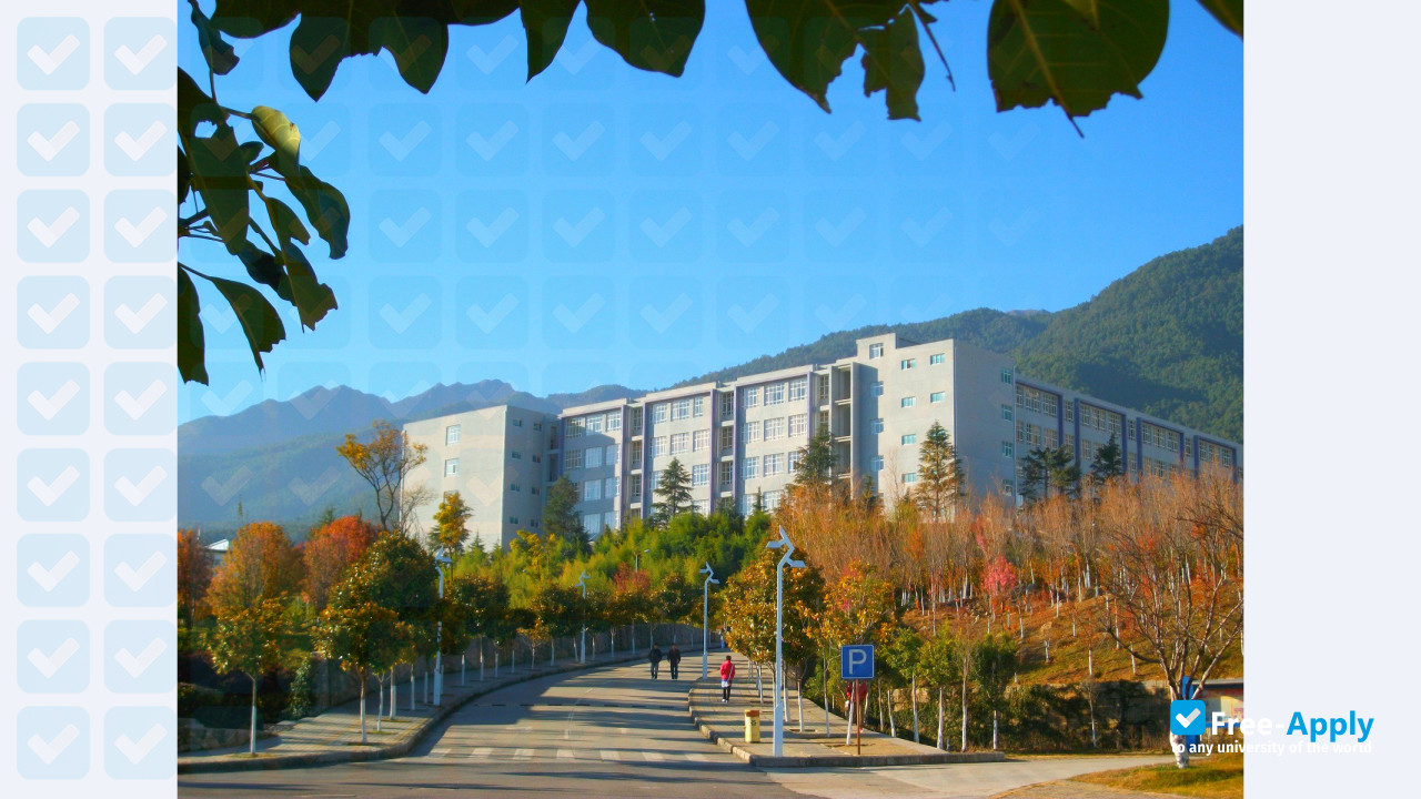 Dali University photo #5