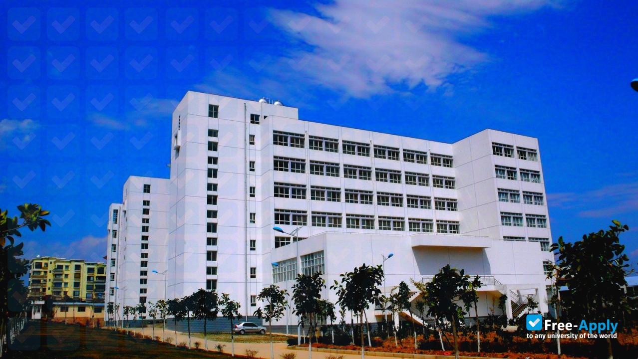 Dali University photo #2