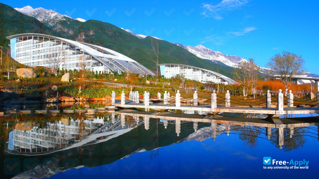 Dali University photo #7