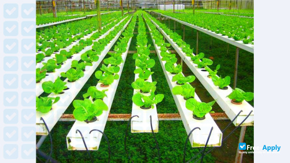 Beijing Vocational College of Agriculture photo #5