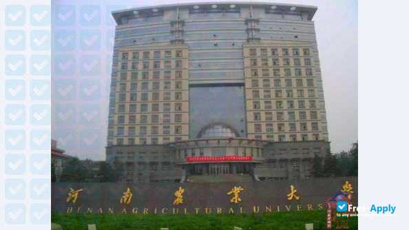 Henan Agricultural University фотография №6