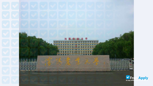 Shenyang Agricultural University photo #7
