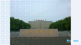 Miniatura de la Shenyang Agricultural University #12