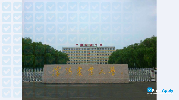 Shenyang Agricultural University фотография №12