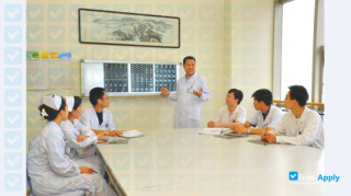 Hebei Medical University vignette #12