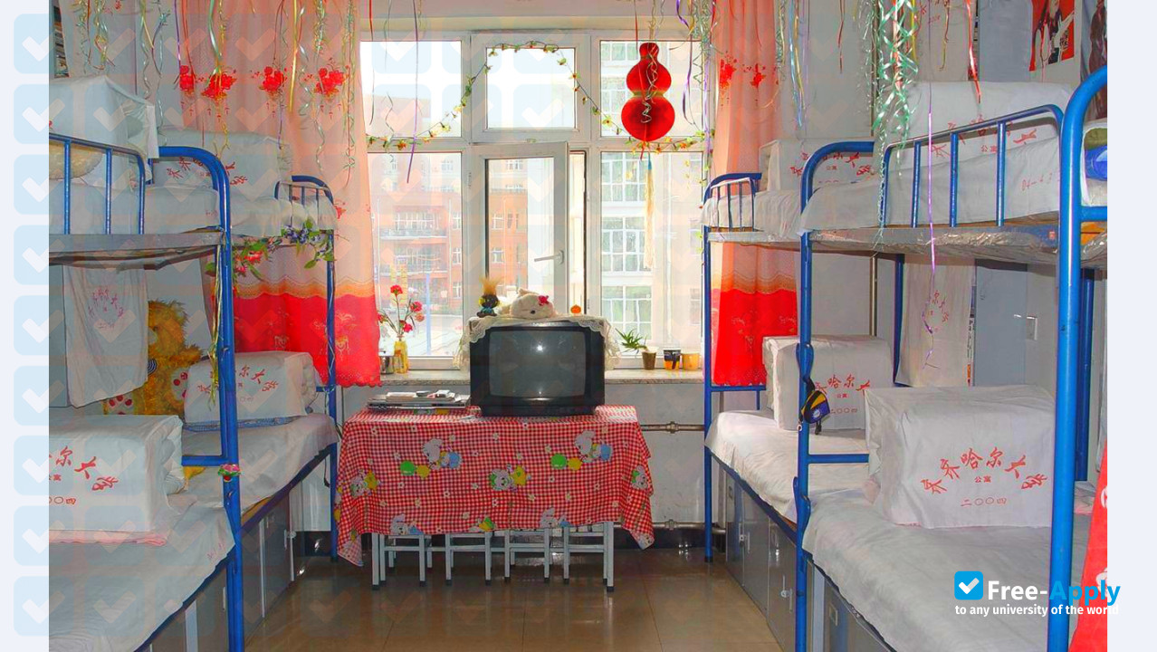 Qiqihar University photo #7