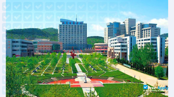 Shandong Foreign Trade Vocational College photo
