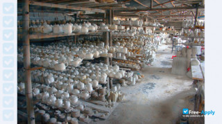 Jingdezhen Ceramic Institute thumbnail #2