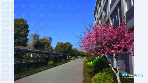 Silicon Lake College photo #1