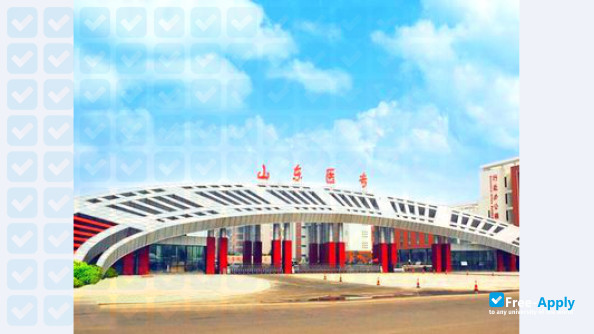Shandong Medical College photo #1