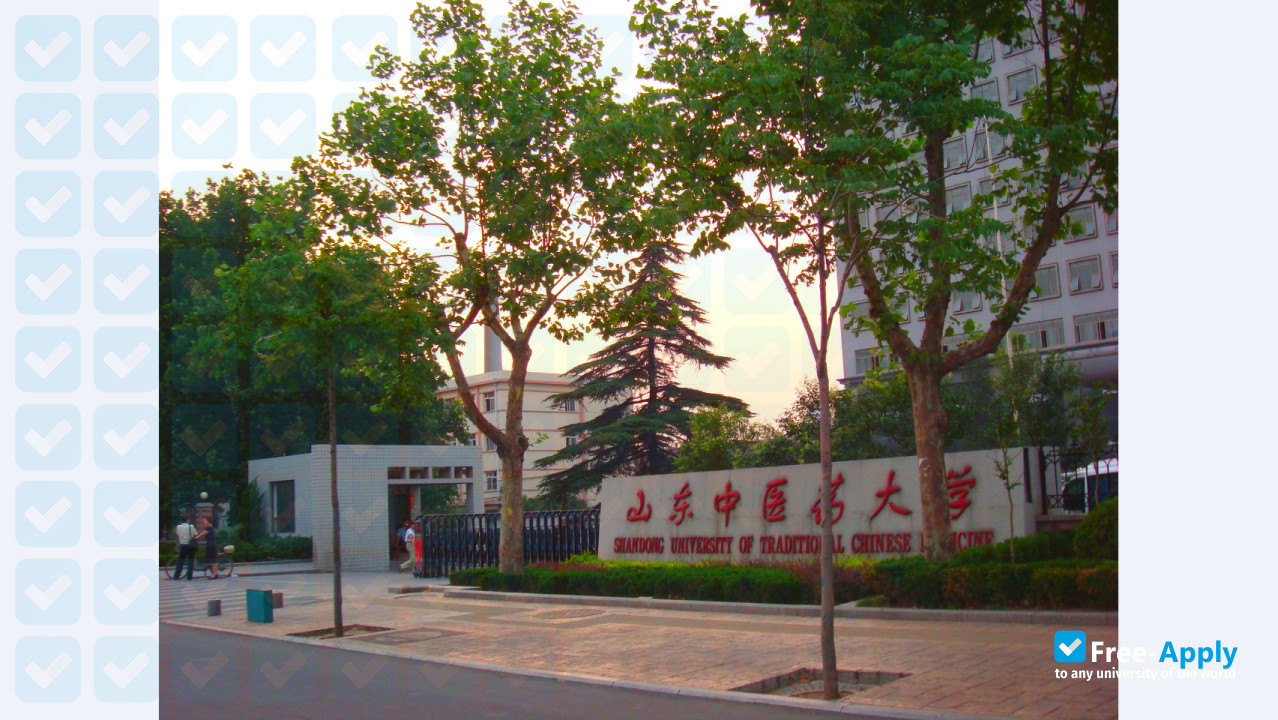 Shandong University of Traditional Chinese Medicine photo #3