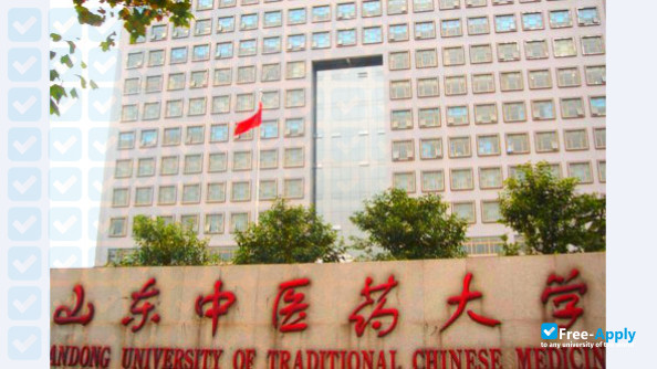 Shandong University of Traditional Chinese Medicine photo #4