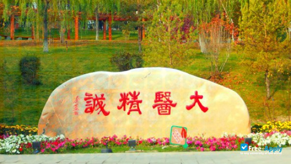 Photo de l’Xinjiang Medical University #5