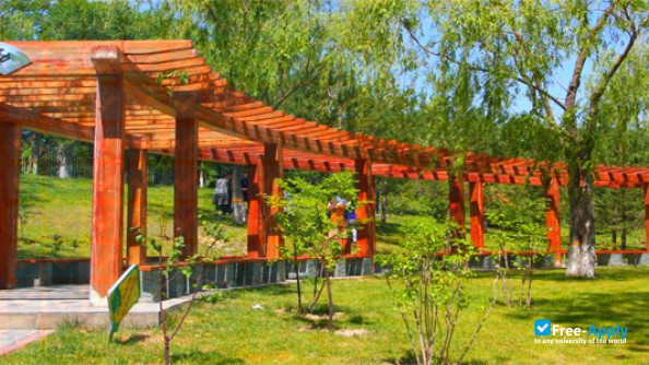 Xinjiang Medical University photo #7