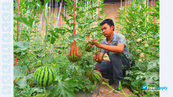 Shanxi Agricultural University фотография №7