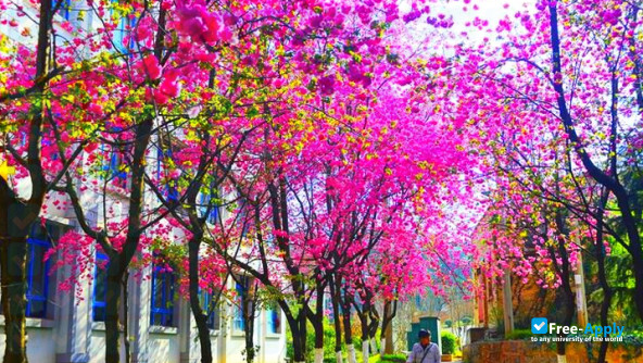 Yunnan Vocational College of Mechanical and Electrical Technology photo #3