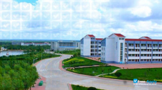 Weifang Business Vocational College thumbnail #3