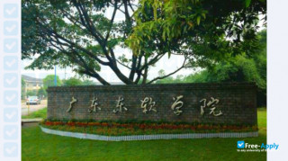Miniatura de la Neusoft Institute Guangdong #3