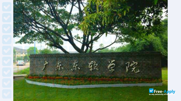Neusoft Institute Guangdong photo #3