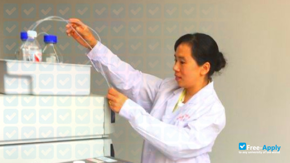 Photo de l’Xinyang College #4