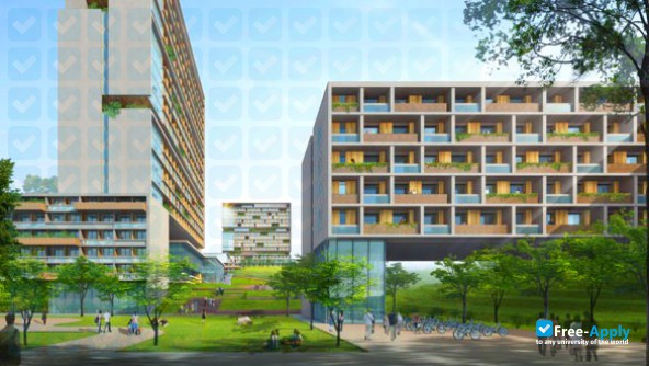 The Chinese University of Hong Kong Shenzhen photo #3