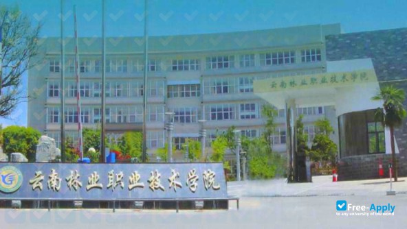 Foto de la Yunnan Forestry Technological College #3