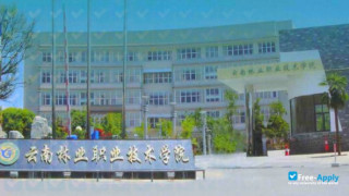 Yunnan Forestry Technological College vignette #9