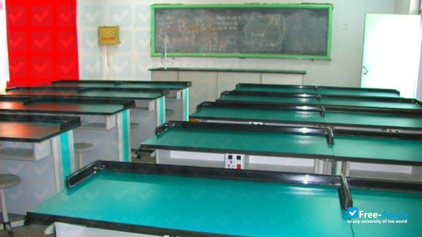 Professional Arts Institute of Hubei фотография №2