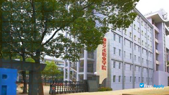 Professional Arts Institute of Hubei фотография №1