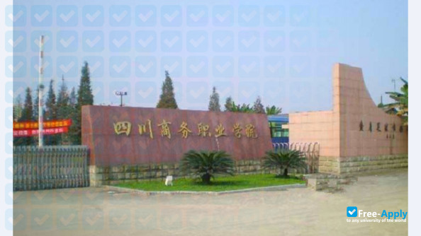 Sichuan Business Vocational College фотография №3