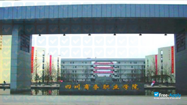 Sichuan Business Vocational College фотография №5