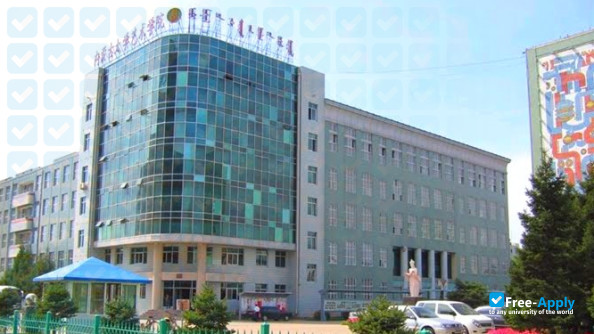Art College Inner Mongolia University фотография №3