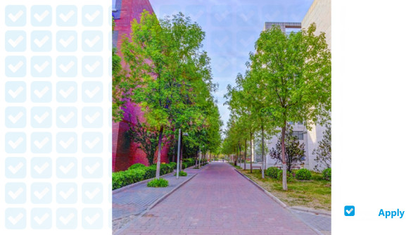 Foto de la Langfang Yanjing polytechnic College #5