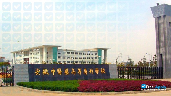Anhui College of Traditional Chinese Medicine фотография №2