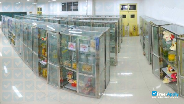 Jinan Vocational College of Nursing photo #2