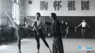Beijing Dance Academy vignette #4