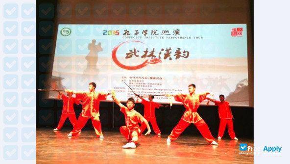 Songshan Shaolin Wushu College photo #6