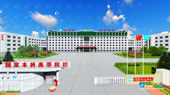 Foto de la Harbin Cambridge University #3
