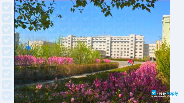 Foto de la Harbin Cambridge University #5