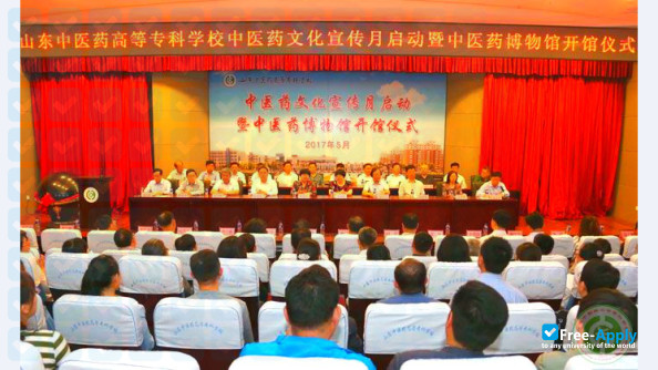 Shandong College of Traditional Chinese Medicine photo #9