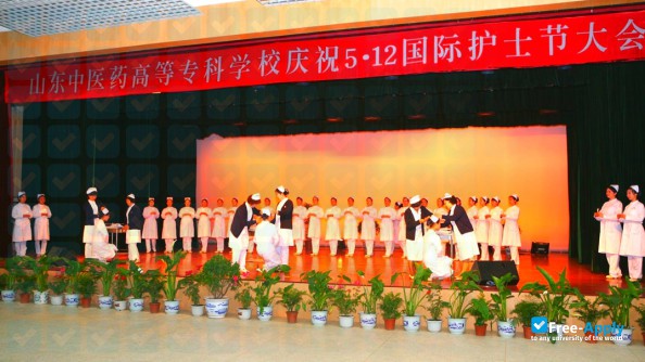 Shandong College of Traditional Chinese Medicine photo #11