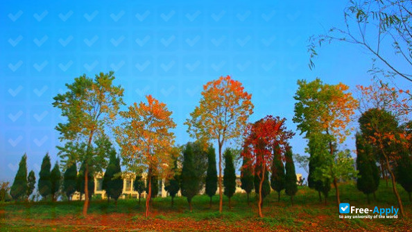 Hefei Science and Technology College photo #3