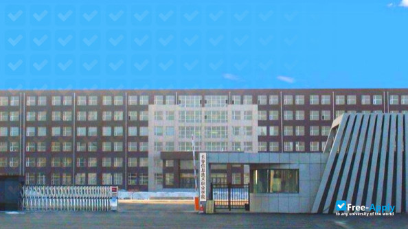 Foto de la Changchun Information Technology College #3