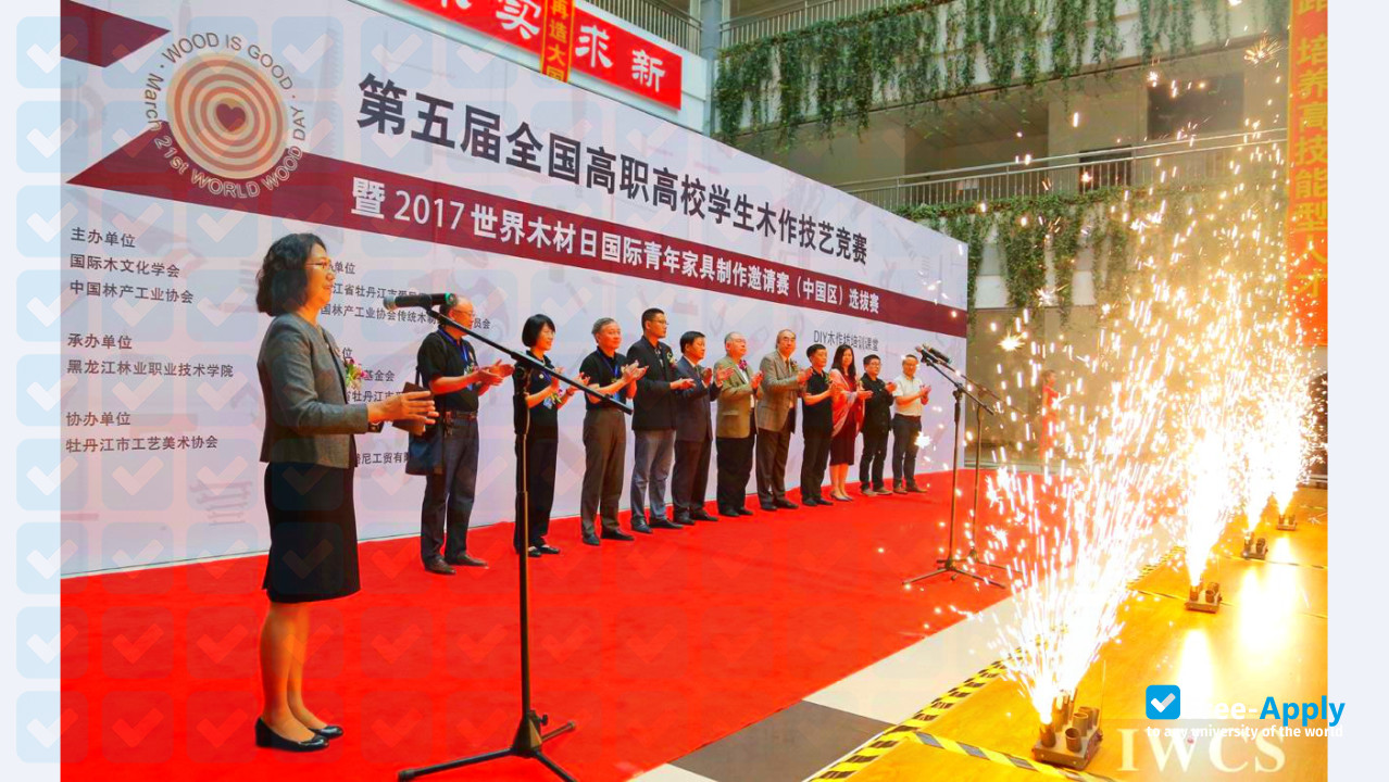 Photo de l’Heilongjiang Forestry Vocation- Technical College #9