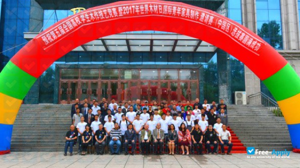 Heilongjiang Forestry Vocation- Technical College фотография №13