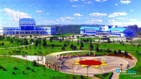 Shenyang Institute of Technology photo #5