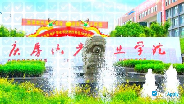 Chongqing Real Estate College фотография №3